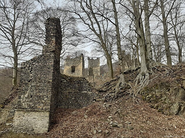 Zícenina hradu Rýzmburk (Osek)