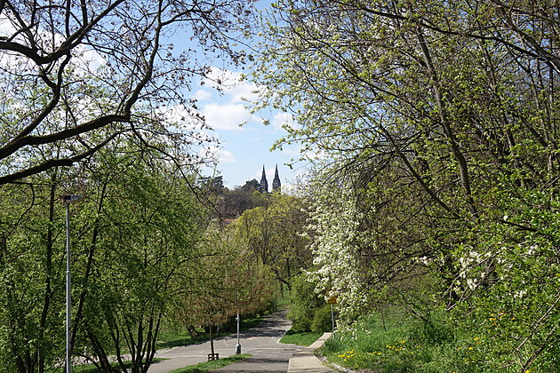 Jarní Vyehrad, druhá plka dubna 2023, Praha