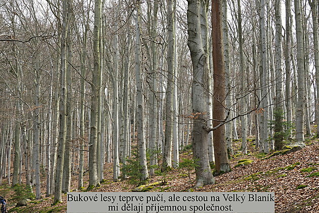 Cestou na Velk� Blan�k. Poutn� cesta Blan�k � ��p: D�l 1: Etapa 1, b�ezen 2023