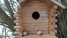 Záhadná vají�ka