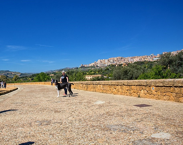 Agrigento. Yoda na Sicílii, b�ezen 2023