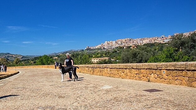 Agrigento. Yoda na Sic�lii, b�ezen 2023