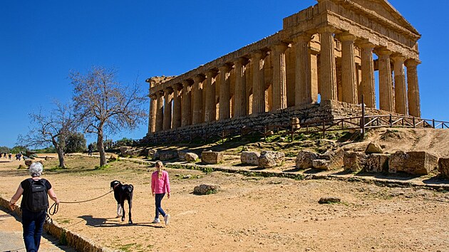 Agrigento. Yoda na Sic�lii, b�ezen 2023