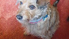 Dostanu kousek, nebo rad�ji velký kus? (Kess)