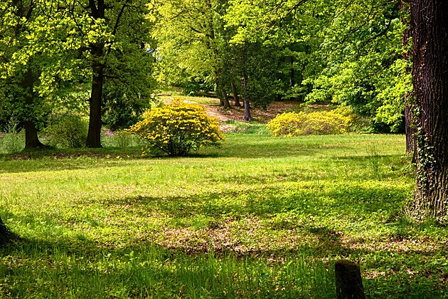 Park v Kromlau. kvten 2023