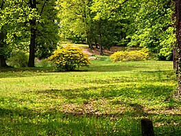 Park v Kromlau. kvten 2023
