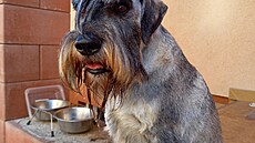 Eda, kníra�. S �írem.