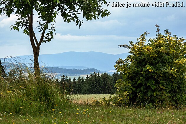 Z Králík do Anenské Studánky, erven 2023