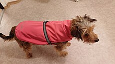 Na�tvaná Kesss � plá�t�nka není o nic lep�í ne� ostatní oble�ky. Znamená to, �e...