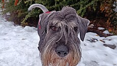 Ven v mrazech po operaci rad�ji jen v oble�ku