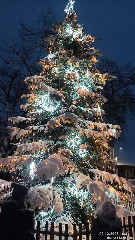 Vánoní strom v Ronov