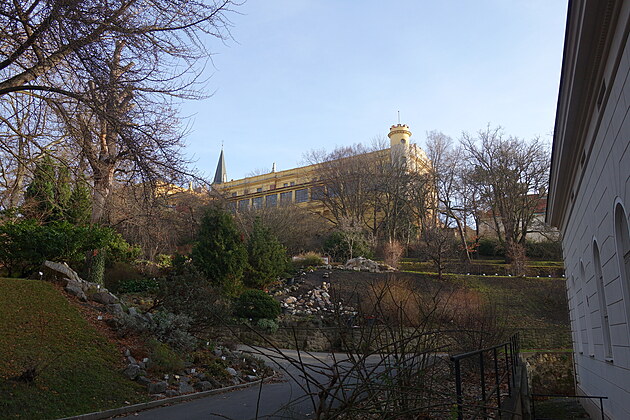 Odpoledne v botanické zahrada Na Slupi, 27. 12. 2023, Praha