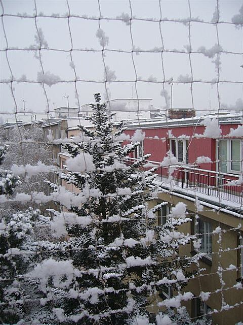 Výhled ze zasíovaného balkonu