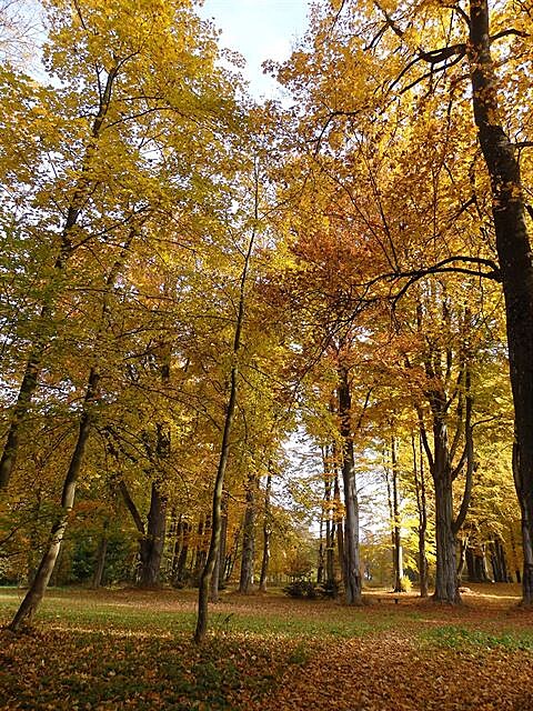 5 Podzim v zámeckém parku v Chodové Plané