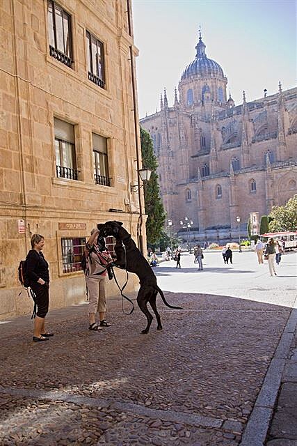 Salamanca - Nightv obvyklý runíkový taneek