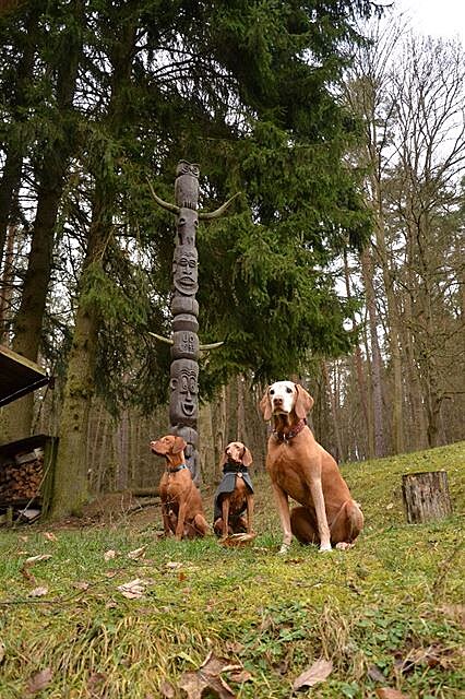 Totemoví psi. Eus, Bubi, Aischa.