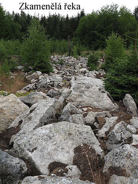 Zkamenlá eka. Potulování kolem Doubravky, ervenec 2018