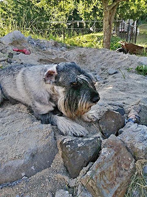 Pískovit na chalup je oblíbené Edovo stanovit