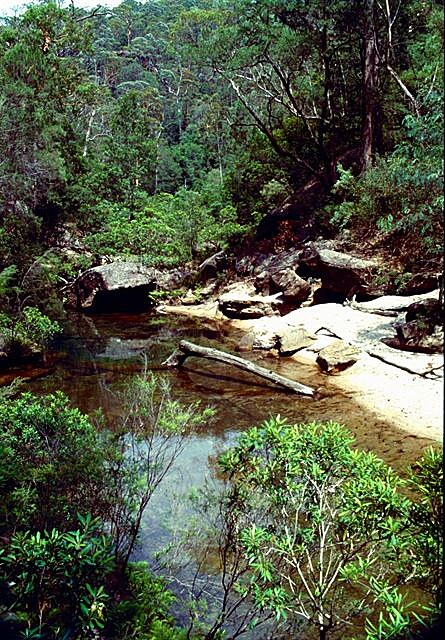 Kanooka Creek - Glenbrook, Austrálie