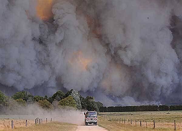 Kingake Bushfires. Victoria 19