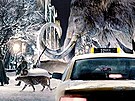 Noc v muzeu - neandrtálci, gepard, onyx, mamut, taxi a nosorozec