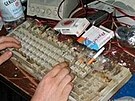 Kurs informatiky 5