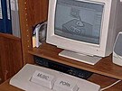 Kurs informatiky 6