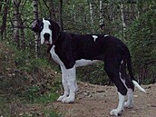 Beta3