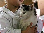 Pozvánka na výstavu 1