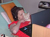 Felinoterapie Iveta 1