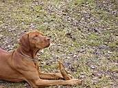 Kolaíková Eus turista 3