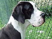 Porkertovi - Beta rozjímá