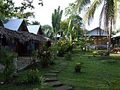 Hedu - Kostarika - Cahuita ubytování