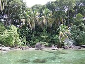 Hedu - Kostarika - Cahuita 2
