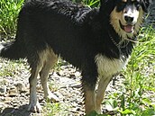 Roháová - Max