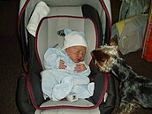 Modrá�ková - Rambo a nový páne�ek 1