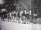 �vehla - Austrálie - �iroké cesty 3