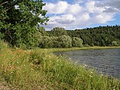 Zana - rybník