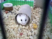 Jiný Honza - keek 2