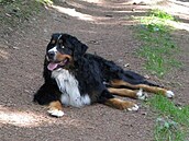 Terra-san - Barney 1