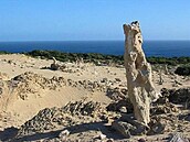 vehla - Austrálie - King Island 4