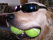 Ma�a - Astor s mí�ky