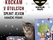 1217kern1