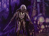 Domovina Temný elf 1 R. A. Salvatore