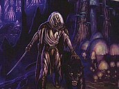 Domovina R. A. Salvatore Forgotten Realms Legenda o Drizztovi