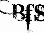 BFS 2008 logo BFA