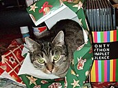 Pitina mezi dáreky - ve svém ivlu