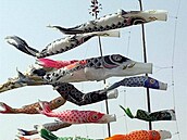 koinobori 2