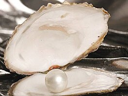 perly archivu perla