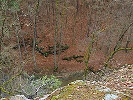 Dovolen Vlkov, bezen 2017